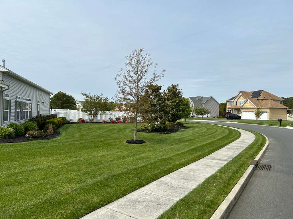 Freshly mowed lawn with crisp stripes along a curved sidewalk on a recent Bult's Landscaping job in Galloway Township, NJ